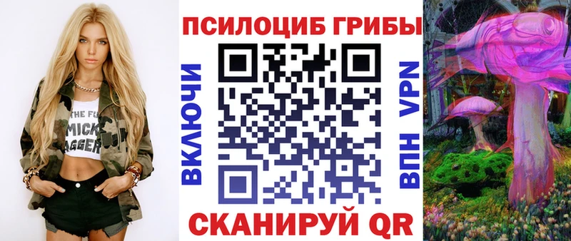 Псилоцибиновые грибы мицелий  хочу   даркнет официальный сайт  Хотьково  МЕГА  
